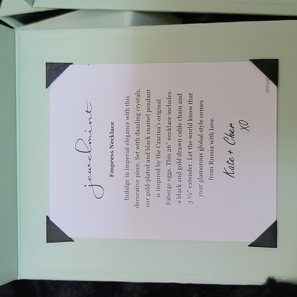 Empty Jewelmint boxes (pale green newer generation boxes) - Picture 3 of 7